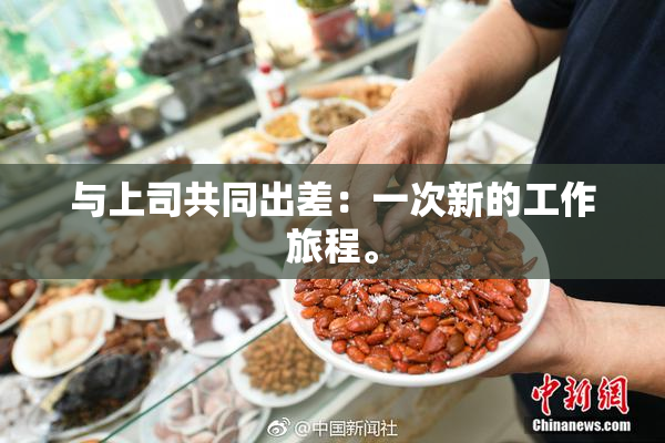 与上司共同出差：一次新的工作旅程。