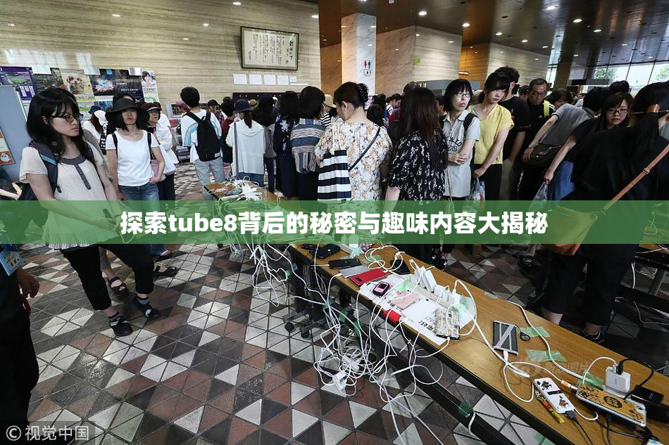 探索tube8背后的秘密与趣味内容大揭秘