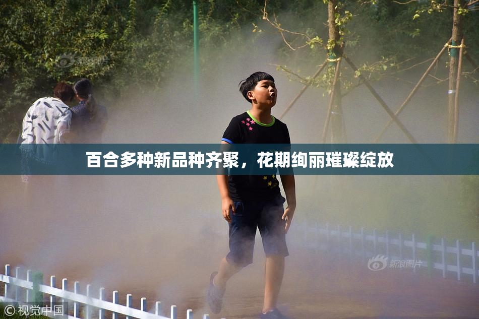 百合多种新品种齐聚，花期绚丽璀璨绽放