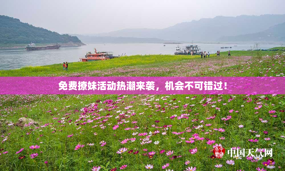 免费撩妹活动热潮来袭，机会不可错过！
