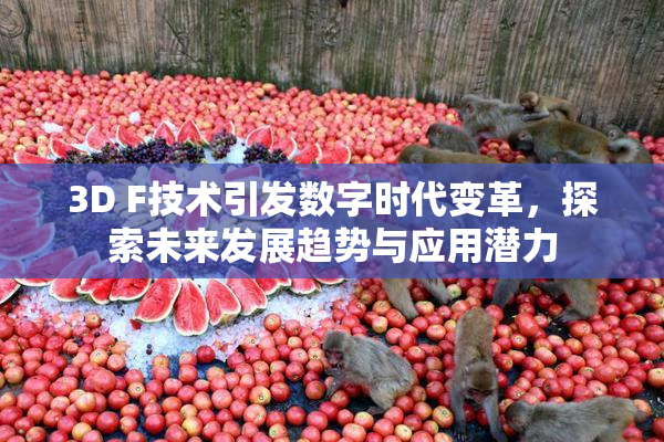 3D F技术引发数字时代变革，探索未来发展趋势与应用潜力