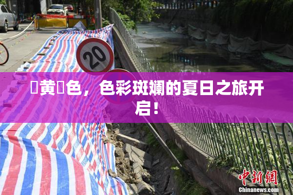 ✿黄✿色，色彩斑斓的夏日之旅开启！