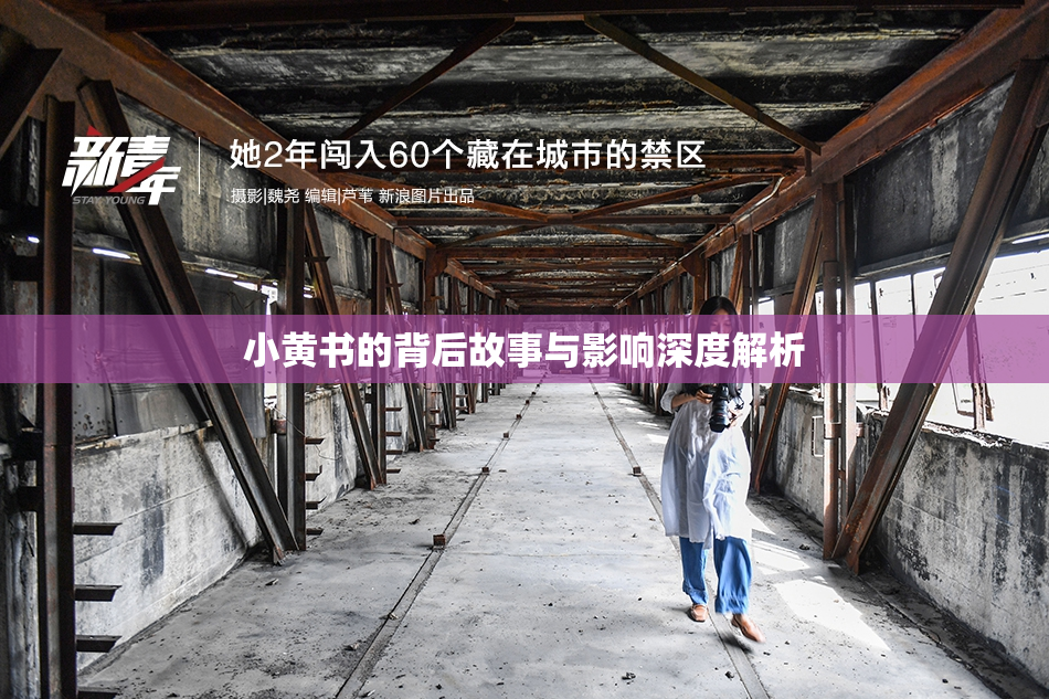 小黄书的背后故事与影响深度解析