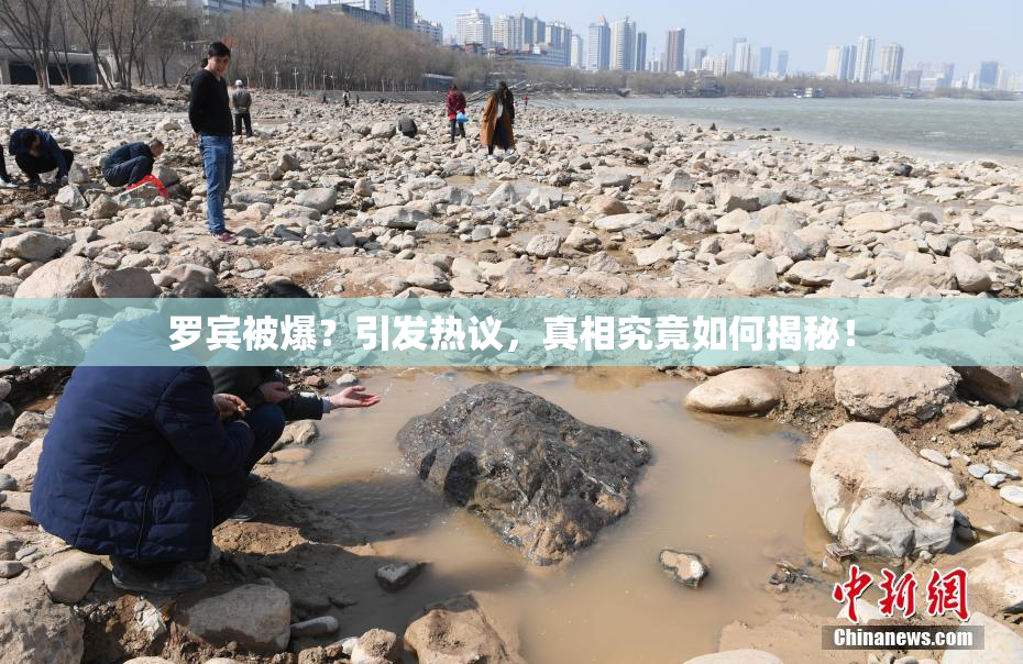 罗宾被爆？引发热议，真相究竟如何揭秘！