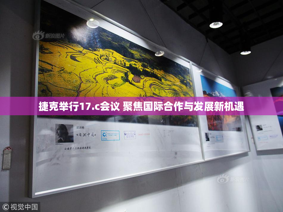 捷克举行17.c会议 聚焦国际合作与发展新机遇