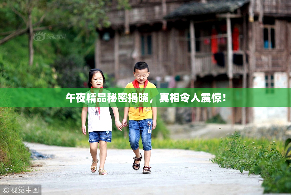 午夜精品秘密揭晓，真相令人震惊！