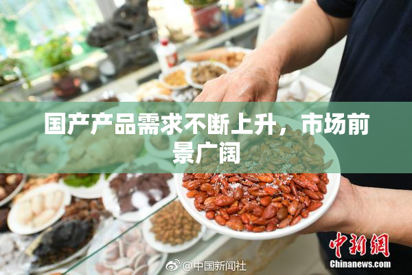 国产产品需求不断上升，市场前景广阔