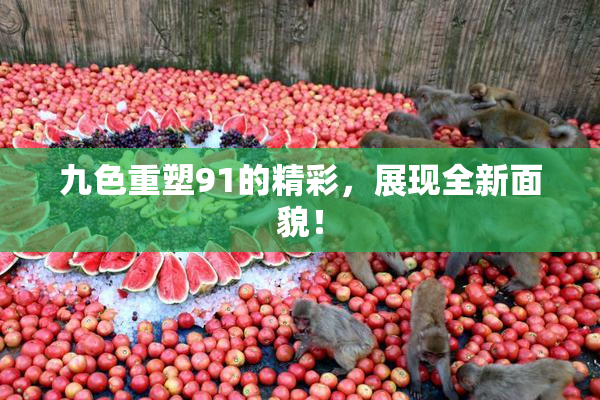 九色重塑91的精彩，展现全新面貌！