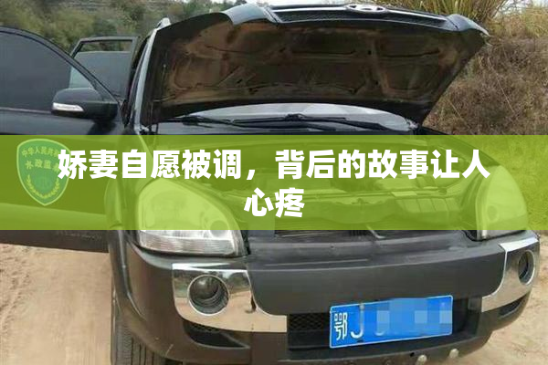 娇妻自愿被调，背后的故事让人心疼