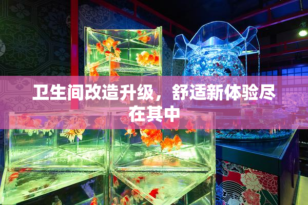卫生间改造升级，舒适新体验尽在其中