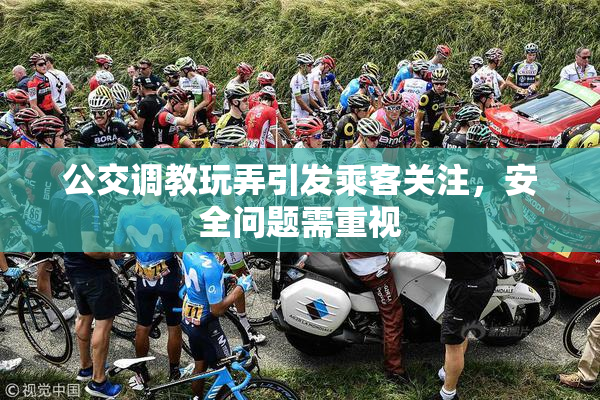 公交调教玩弄引发乘客关注，安全问题需重视