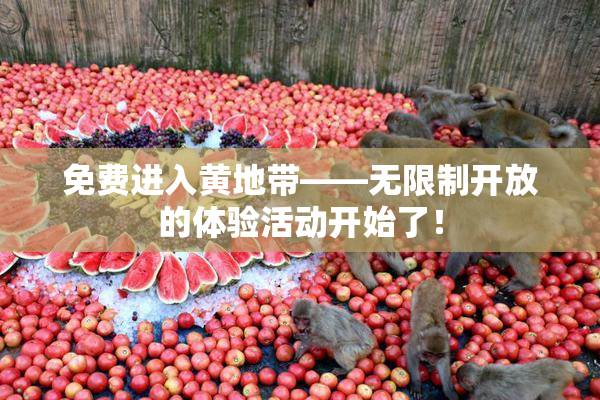 免费进入黄地带——无限制开放的体验活动开始了！