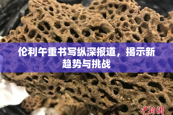 伦利午重书写纵深报道，揭示新趋势与挑战