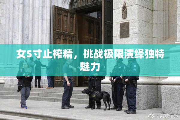 女S寸止榨精，挑战极限演绎独特魅力