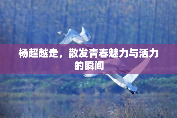 杨超越走，散发青春魅力与活力的瞬间
