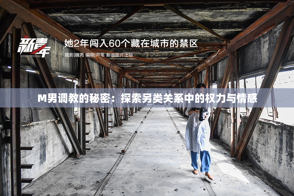 M男调教的秘密：探索另类关系中的权力与情感