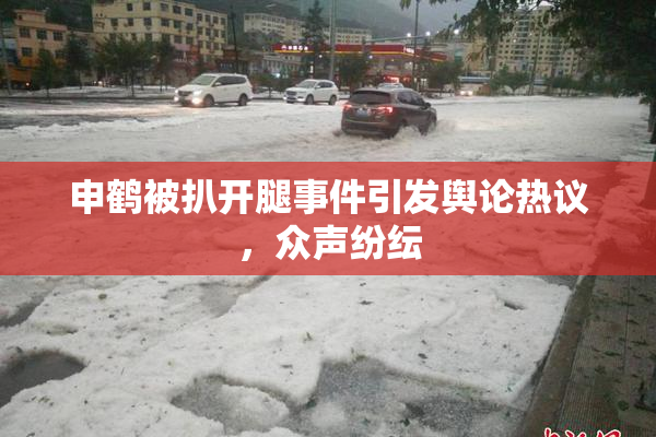 申鹤被扒开腿事件引发舆论热议，众声纷纭