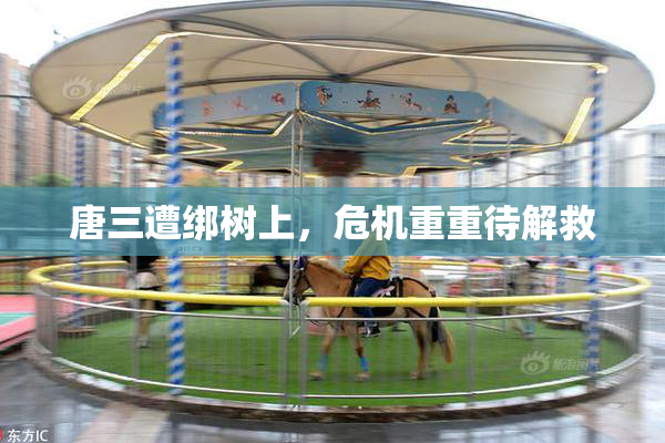 唐三遭绑树上，危机重重待解救