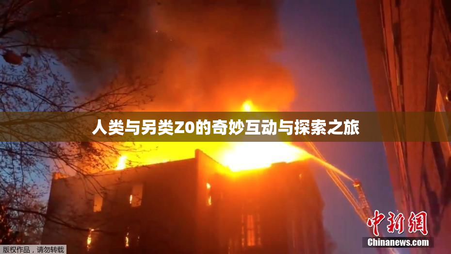 人类与另类Z0的奇妙互动与探索之旅