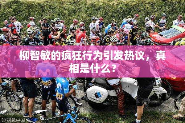 柳智敏的疯狂行为引发热议，真相是什么？