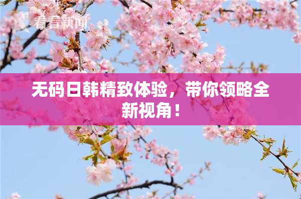 无码日韩精致体验，带你领略全新视角！