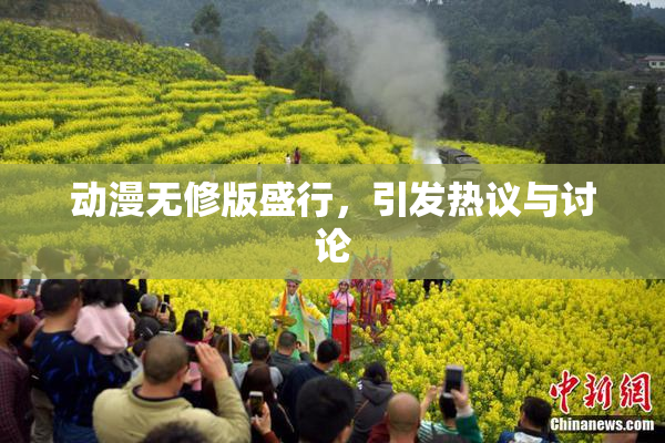 动漫无修版盛行，引发热议与讨论