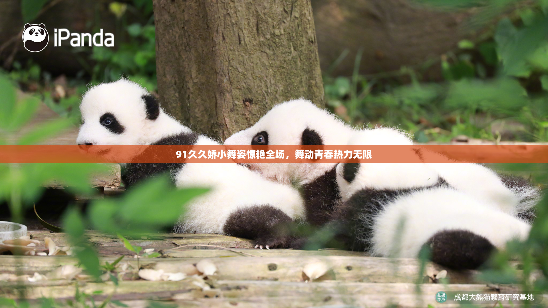 91久久娇小舞姿惊艳全场，舞动青春热力无限