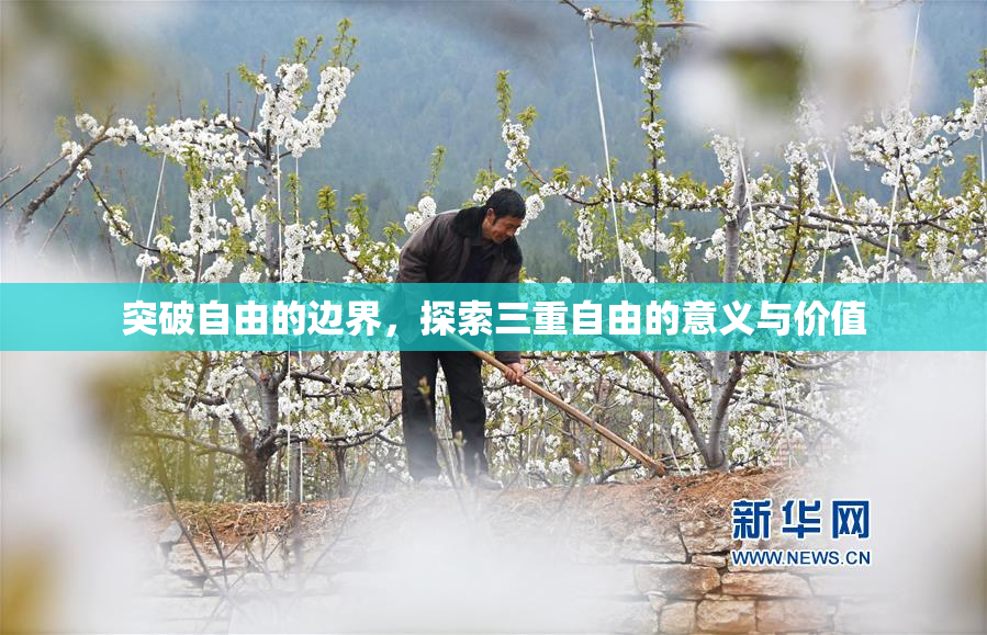 突破自由的边界，探索三重自由的意义与价值