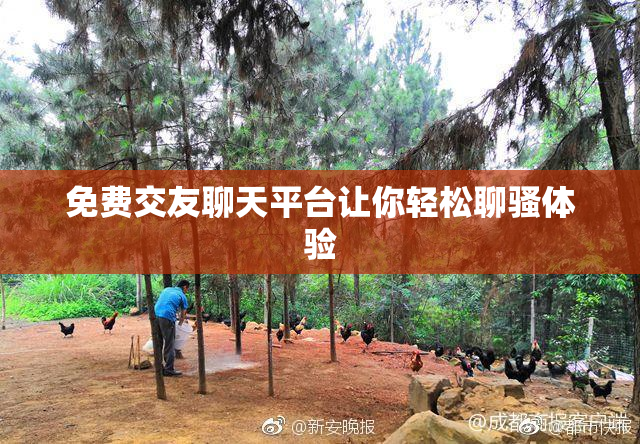 免费交友聊天平台让你轻松聊骚体验