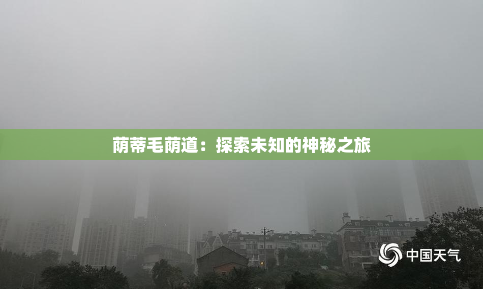荫蒂毛荫道：探索未知的神秘之旅