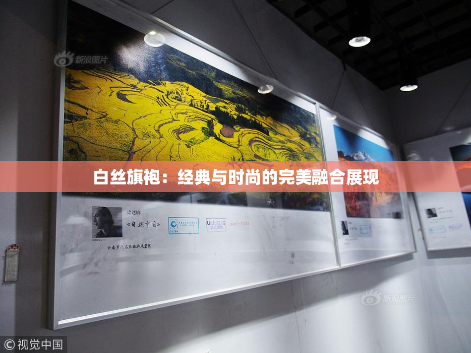 白丝旗袍：经典与时尚的完美融合展现