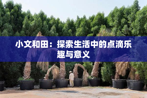小文和田：探索生活中的点滴乐趣与意义