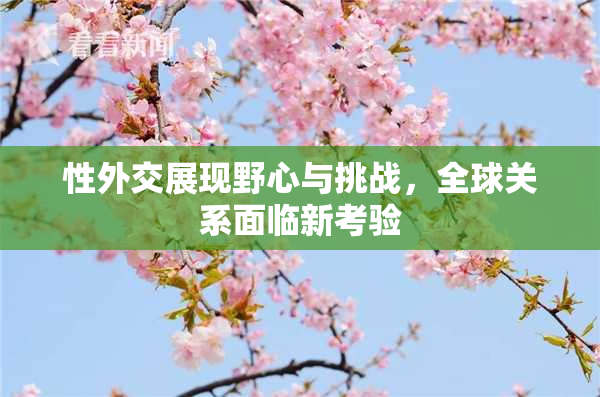 性外交展现野心与挑战，全球关系面临新考验