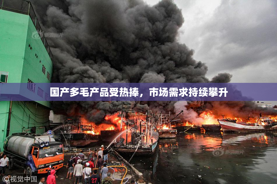 国产多毛产品受热捧，市场需求持续攀升