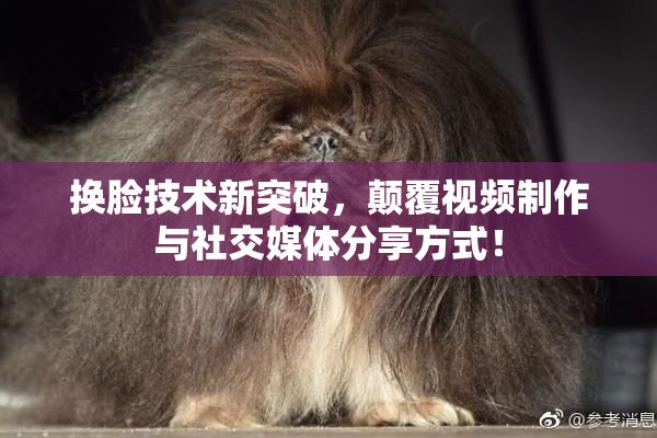 换脸技术新突破，颠覆视频制作与社交媒体分享方式！