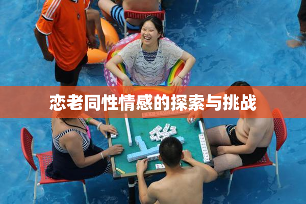 恋老同性情感的探索与挑战