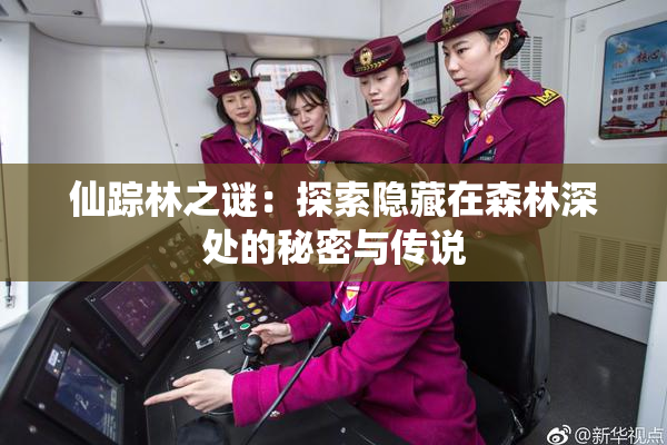 仙踪林之谜：探索隐藏在森林深处的秘密与传说