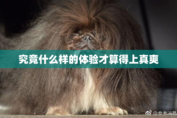 究竟什么样的体验才算得上真爽