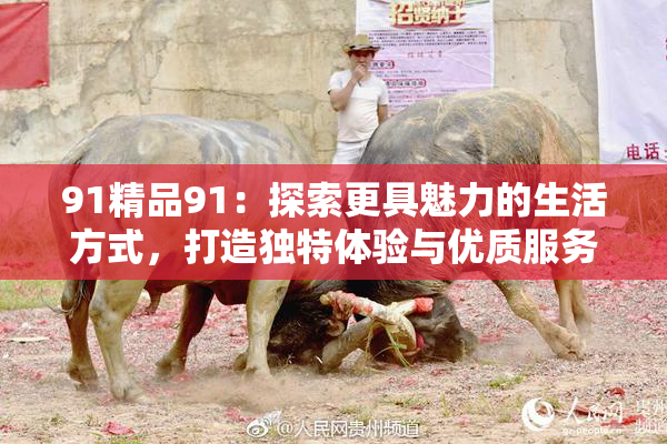 91精品91：探索更具魅力的生活方式，打造独特体验与优质服务