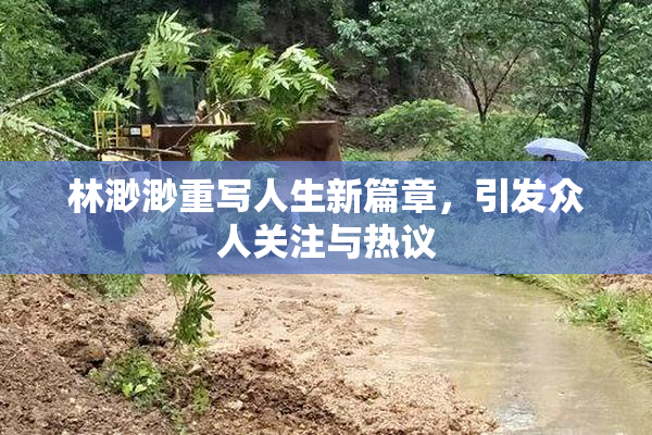 林渺渺重写人生新篇章，引发众人关注与热议