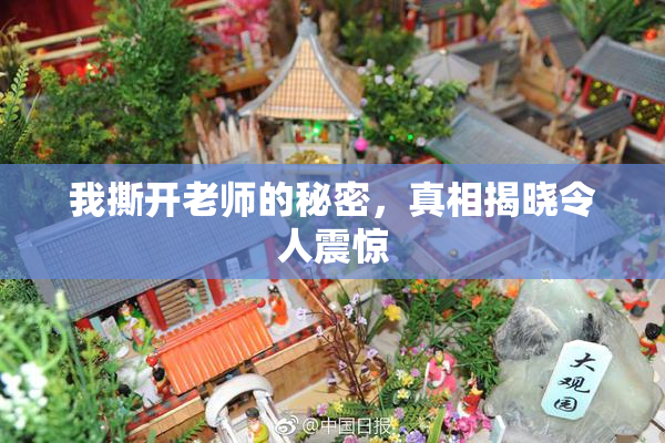 我撕开老师的秘密，真相揭晓令人震惊