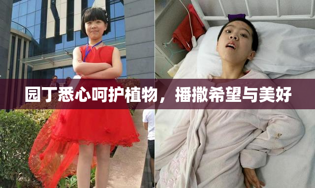 园丁悉心呵护植物，播撒希望与美好