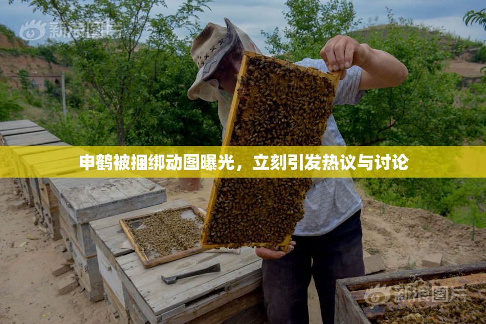 申鹤被捆绑动图曝光，立刻引发热议与讨论