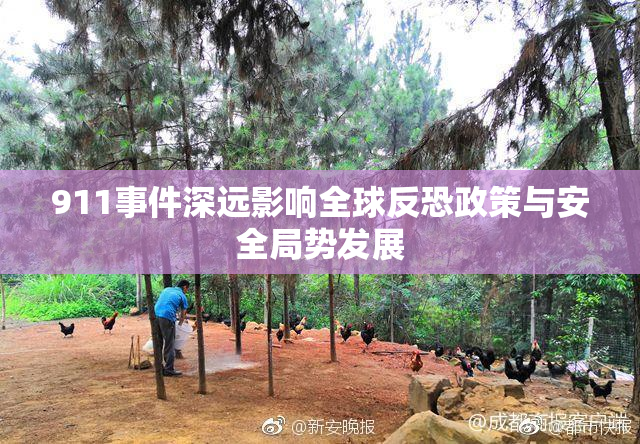 911事件深远影响全球反恐政策与安全局势发展