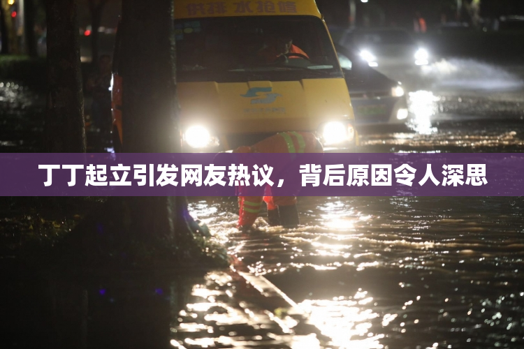 丁丁起立引发网友热议，背后原因令人深思