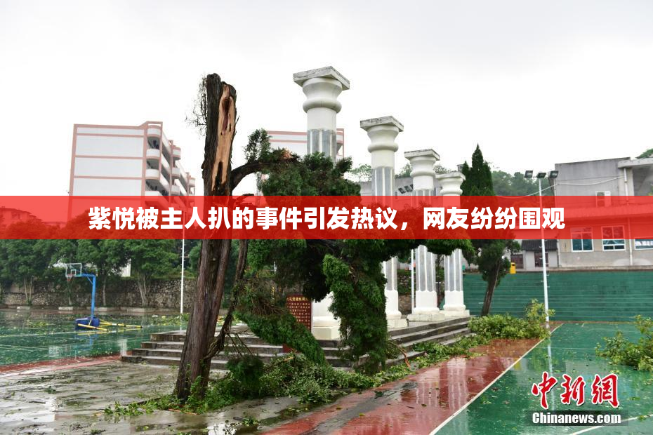 紫悦被主人扒的事件引发热议，网友纷纷围观