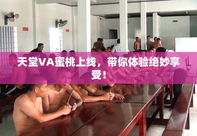 天堂VA蜜桃上线，带你体验绝妙享受！