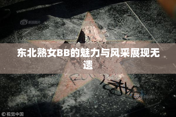 东北熟女BB的魅力与风采展现无遗
