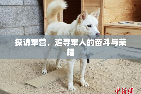 探访军营，追寻军人的奋斗与荣耀