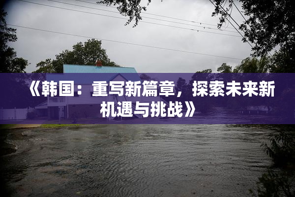 《韩国：重写新篇章，探索未来新机遇与挑战》